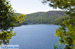 Panormos Skopelos | Sporades | Greece  Photo 14 - Photo JustGreece.com