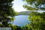 JustGreece.com Panormos Skopelos | Sporades | Greece  Photo 16 - Foto van JustGreece.com