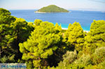 JustGreece.com Milia | Skopelos Sporades | Greece  Photo 3 - Foto van JustGreece.com