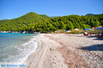 JustGreece.com Milia | Skopelos Sporades | Greece  Photo 11 - Foto van JustGreece.com