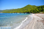 JustGreece.com Milia | Skopelos Sporades | Greece  Photo 12 - Foto van JustGreece.com