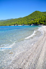 Milia | Skopelos Sporades | Greece  Photo 14 - Photo JustGreece.com