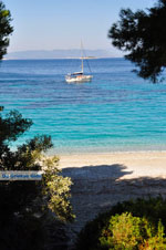 JustGreece.com Kastani | Skopelos Sporades | Greece  Photo 2 - Foto van JustGreece.com