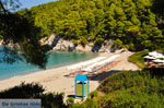 JustGreece.com Kastani | Skopelos Sporades | Greece  Photo 4 - Foto van JustGreece.com