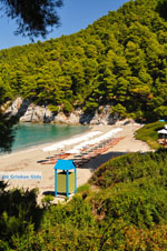 JustGreece.com Kastani | Skopelos Sporades | Greece  Photo 5 - Foto van JustGreece.com