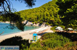 JustGreece.com Kastani | Skopelos Sporades | Greece  Photo 6 - Foto van JustGreece.com