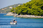 JustGreece.com Kastani | Skopelos Sporades | Greece  Photo 9 - Foto van JustGreece.com