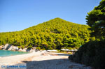 JustGreece.com Kastani | Skopelos Sporades | Greece  Photo 13 - Foto van JustGreece.com