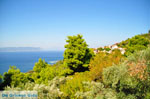 Palio Klima (Old Klima) | Skopelos Sporades | Greece  Photo 4 - Photo JustGreece.com