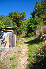 Palio Klima (Old Klima) | Skopelos Sporades | Greece  Photo 16 - Photo JustGreece.com