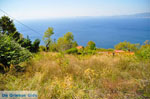 Palio Klima (Old Klima) | Skopelos Sporades | Greece  Photo 17 - Photo JustGreece.com