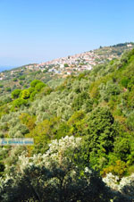 JustGreece.com Glossa | Skopelos Sporades | Greece  Photo 3 - Foto van JustGreece.com