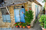 JustGreece.com Glossa | Skopelos Sporades | Greece  Photo 19 - Foto van JustGreece.com
