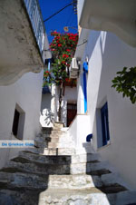 JustGreece.com Glossa | Skopelos Sporades | Greece  Photo 20 - Foto van JustGreece.com