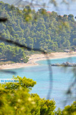 JustGreece.com Near the Beaches Kastani and Milia | Skopelos Sporades | Greece  Photo 1 - Foto van JustGreece.com