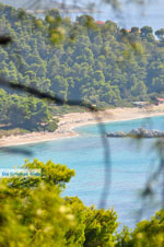 JustGreece.com Near the Beaches Kastani and Milia | Skopelos Sporades | Greece  Photo 2 - Foto van JustGreece.com