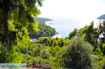 Beaches Kastani and Milia |Skopelos Sporades | Greece  Photo 1 - Photo JustGreece.com