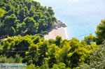 JustGreece.com Beaches Kastani and Milia |Skopelos Sporades | Greece  Photo 2 - Foto van JustGreece.com