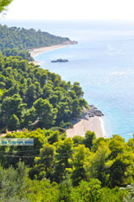 JustGreece.com Beaches Kastani and Milia |Skopelos Sporades | Greece  Photo 3 - Foto van JustGreece.com