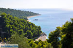 Beaches Kastani and Milia |Skopelos Sporades | Greece  Photo 6 - Photo JustGreece.com