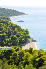 JustGreece.com Beaches Kastani and Milia |Skopelos Sporades | Greece  Photo 7 - Foto van JustGreece.com