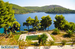 JustGreece.com Panormos Skopelos | Sporades | Greece  Photo 17 - Foto van JustGreece.com