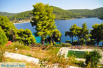 JustGreece.com Panormos Skopelos | Sporades | Greece  Photo 18 - Foto van JustGreece.com