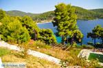 JustGreece.com Panormos Skopelos | Sporades | Greece  Photo 19 - Foto van JustGreece.com