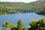 Panormos Skopelos | Sporades | Greece  Photo 20 - Photo JustGreece.com