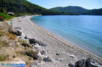 Panormos Skopelos | Sporades | Greece  Photo 23 - Photo JustGreece.com