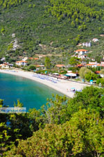 JustGreece.com Panormos Skopelos | Sporades | Greece  Photo 25 - Foto van JustGreece.com