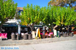 JustGreece.com Skopelos town | Sporades | Greece  Photo 82 - Foto van JustGreece.com