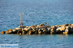 JustGreece.com The harbour of Loutraki Skopelos | Sporades | Greece  Photo 1 - Foto van JustGreece.com