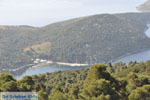 JustGreece.com View to bay Pefkos | Agios Panteleimon | Skyros Photo 2 - Foto van JustGreece.com