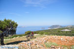 JustGreece.com View to bay Pefkos | Agios Panteleimon | Skyros Photo 10 - Foto van JustGreece.com