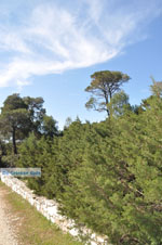 Bossen  near Agios Panteleimon | Skyros Greece Photo 1 - Photo JustGreece.com