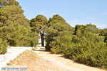 Near Agios Panteleimon Church | Skyros Greece Photo 10 - Photo JustGreece.com