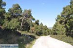 Near Agios Panteleimon Church | Skyros Greece Photo 11 - Photo JustGreece.com