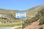 Near Aghios Fokas | Skyros Greece Photo 5 - Photo JustGreece.com