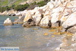 Near Aghios Fokas | Skyros Greece Photo 19 - Foto van JustGreece.com