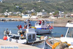 Little harbour near Molos and Magazia | Skyros Greece Photo 4 - Photo JustGreece.com