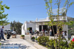 Skyros town | Skyros Greece | Greece  Photo 12 - Photo JustGreece.com