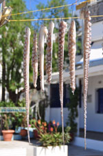 Linaria | Skyros Greece | Greece  Photo 12 - Photo JustGreece.com