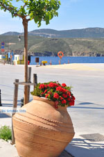 Linaria | Skyros Greece | Greece  Photo 21 - Photo JustGreece.com