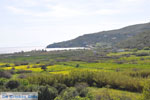 Kalamitsa  | Skyros Greece Photo 1 - Photo JustGreece.com
