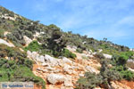 From Kalamitsa to Vouno | The zuiden of Skyros Photo 6 - Photo JustGreece.com