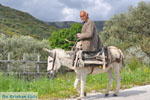 Man with Skyriaanse sandalen | Skyros Greece | Photo 1 - Photo JustGreece.com