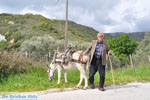 Man with Skyriaanse sandalen | Skyros Greece | Photo 2 - Photo JustGreece.com
