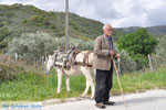 Man with Skyriaanse sandalen | Skyros Greece | Photo 3 - Photo JustGreece.com