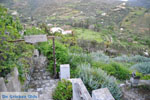 Faltaits Museum Skyros town | Greece  Photo 6 - Photo JustGreece.com